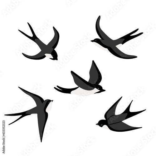 Flying swallows vector cartoon illustration. Bird in flight isolated on a white.