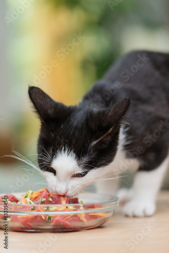 Katze frisst im Haus frisches Fleisch, Futter