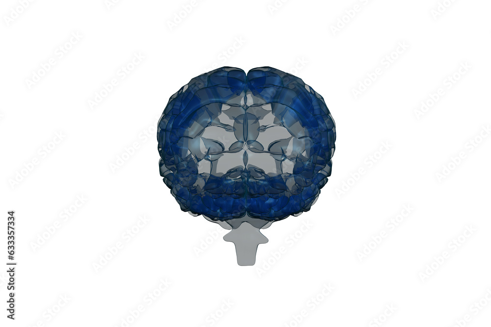Digital png illustration of blue brain on transparent background Digital png illustration of blue brain on transparent background