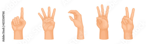 Human Hand Showing Gestures and Signs Vector Set
