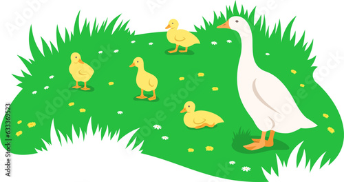 Mother goose and her little cute goslings in different poses grazing in the green meadow. Simple flat illustration