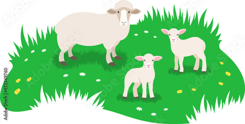 Sheep and her two little lambs grazing in green meadow. Simple flat vector illustration