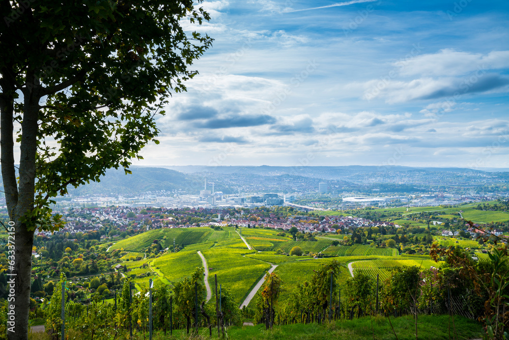 Germany, Stuttgart city urban mood vineyard panorama view autumn nature landscape above roofs houses stadium industry