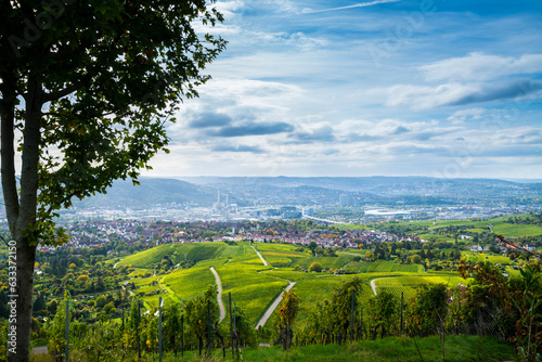 Obraz na płótnie Germany, Stuttgart city urban mood vineyard panorama view autumn nature landscape above roofs houses stadium industry w salonie