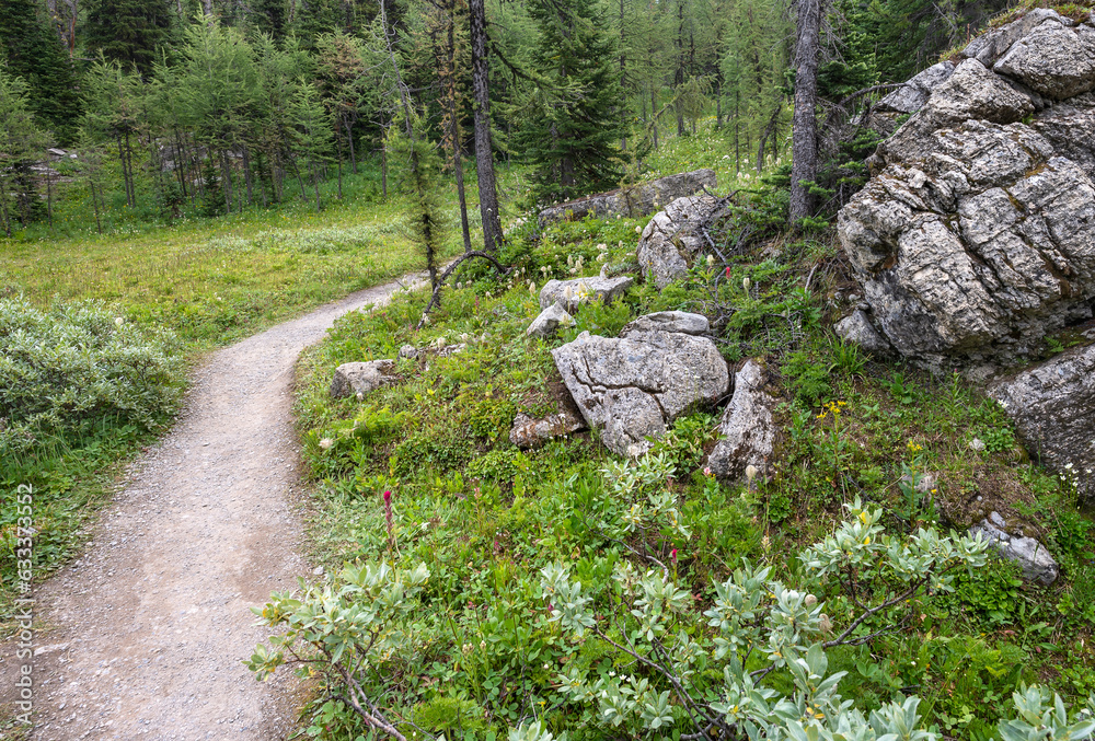 Bend in a hiking trail skirting boulders at Sunshine Meadows in Mount Assiniboine Provincial Park, British Columbia, Canada Bend in a hiking trail skirting boulders at Sunshine Meadows in Mount Assiniboine Provincial Park, British Columbia, Canada