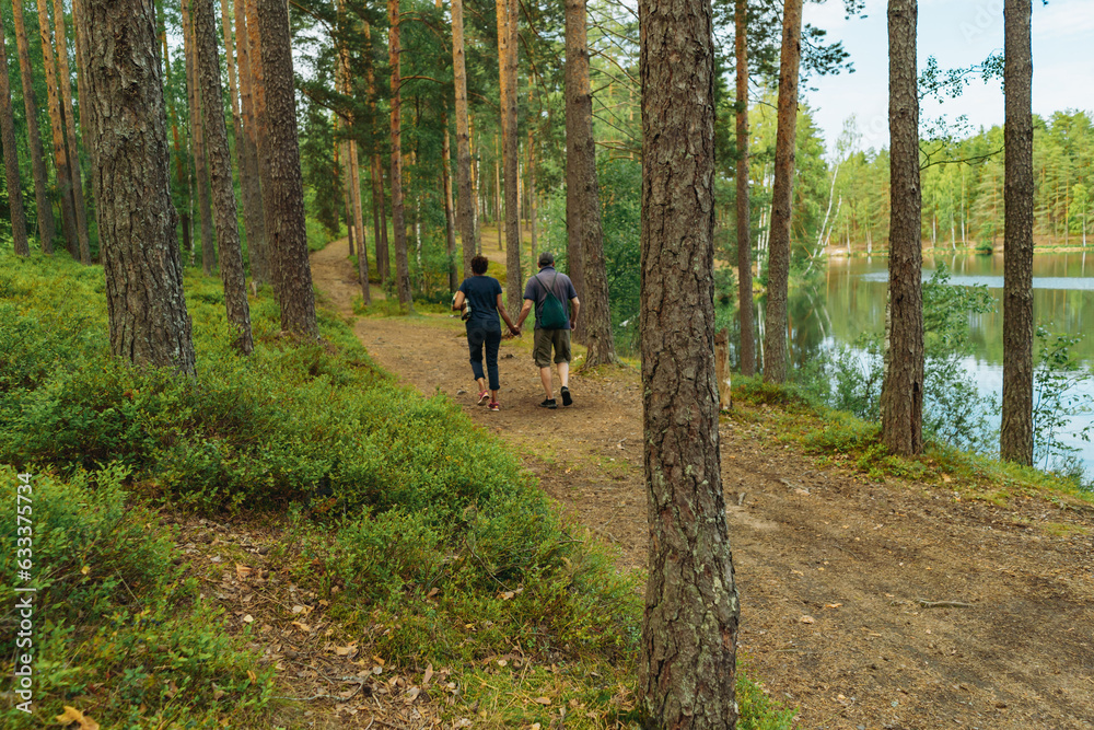 senior couple holding hands walking in forest along lakeside senior couple holding hands walking in forest along lakeside