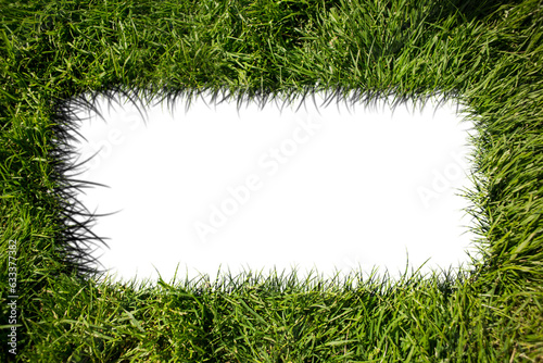 Digital png illustration of grass frame with copy space on transparent background