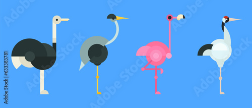 Ostrich, flamingo, heron, crane bird in creative geometric style. Set beautiful modern element. Abstract minimal concept art. Vivid cartoon character design. Vector flat illustration.