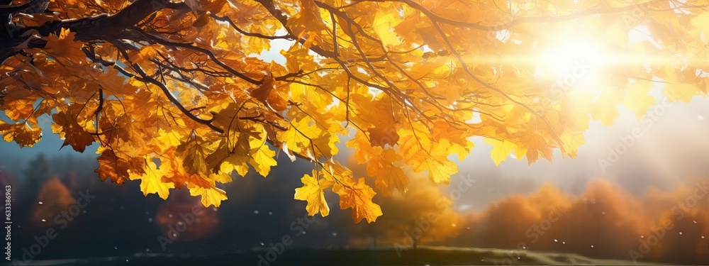Art Beautiful autumn landscape with yellow autumn trees and sun. Colorful foliage in the forest. natural background