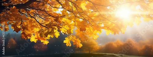 Art Beautiful autumn landscape with yellow autumn trees and sun. Colorful foliage in the forest. natural background