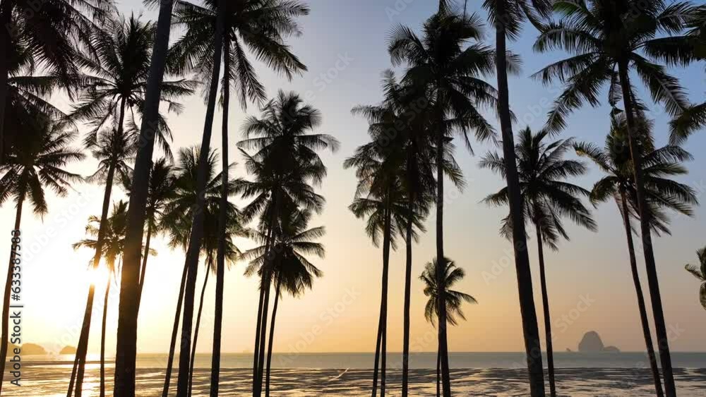 Tropical sand beach with coconut trees in sunset An aerial dolly shot ...