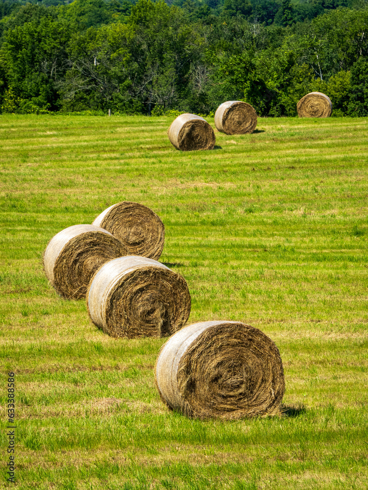 round hay bales in the field