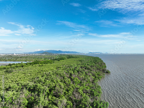 Green mangrove forest capture carbon dioxide. Net zero emissions. Mangroves capture CO2 from atmosphere. Blue carbon ecosystems. Aerial view mangrove trees and mudflat coastal. Natural carbon sinks.