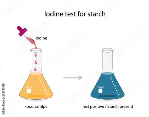 Iodine test for starch, chemical experiment. Carbohydrates in a sample of food or cosmetics. Test positive, dark blue, starch present.  Biology, chemistry. Vector illustration.