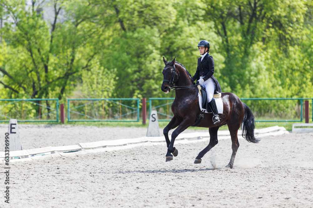 Young horse rider girl on her advanced dressage test in equestrian competition Young horse rider girl on her advanced dressage test in equestrian competition