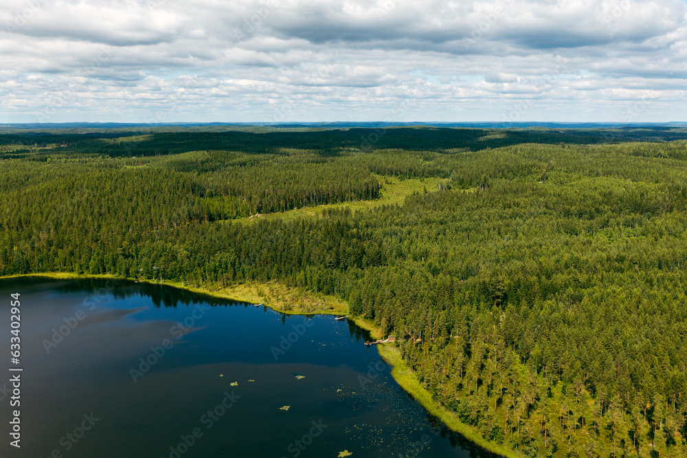High angle view of lush green nature and forest, a blue lake and summer cottages in Finland
