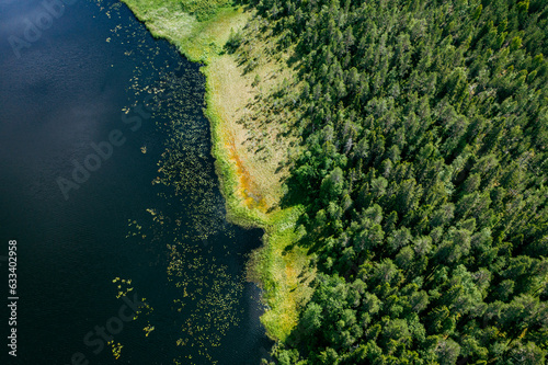 Fototapeta Drone angle view of forest and shore of a lake during summer in Finland