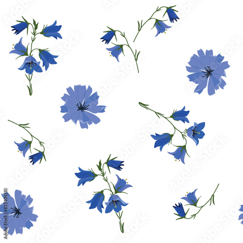 Seamless vector illustration with field bells and flowers chicory on a white background.