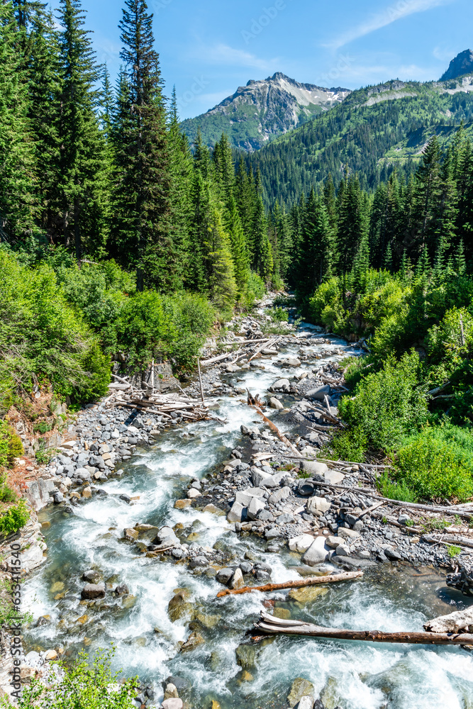 Obraz premium Mountain Glacial River 4