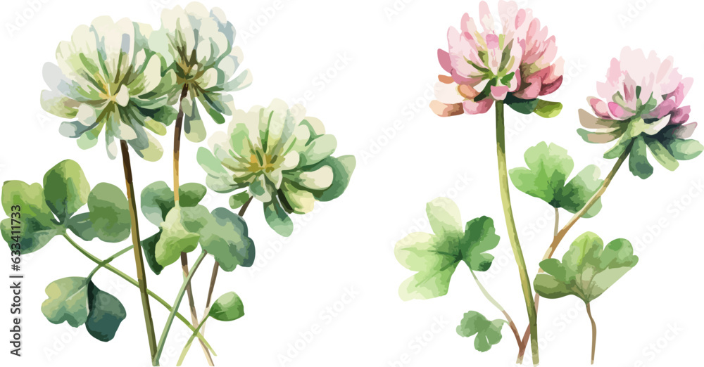 Clover flowers clipart, isolated vector illustration. Clover flowers clipart, isolated vector illustration.