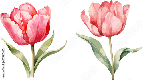 Wallpaper Mural Tulips clipart, isolated vector illustration. Torontodigital.ca