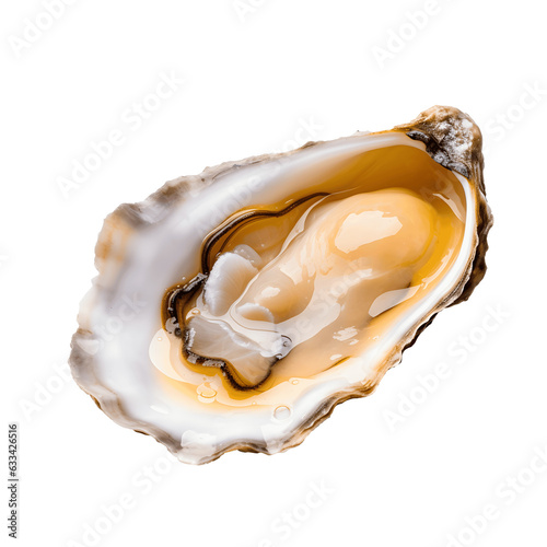 Freshly Opened Oysters isolated, Ocean Taste