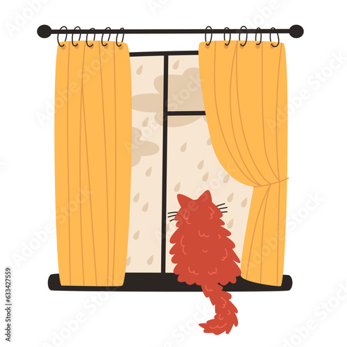 Fluffy domestic cat sits on the windowsill and looks out the window at the rain