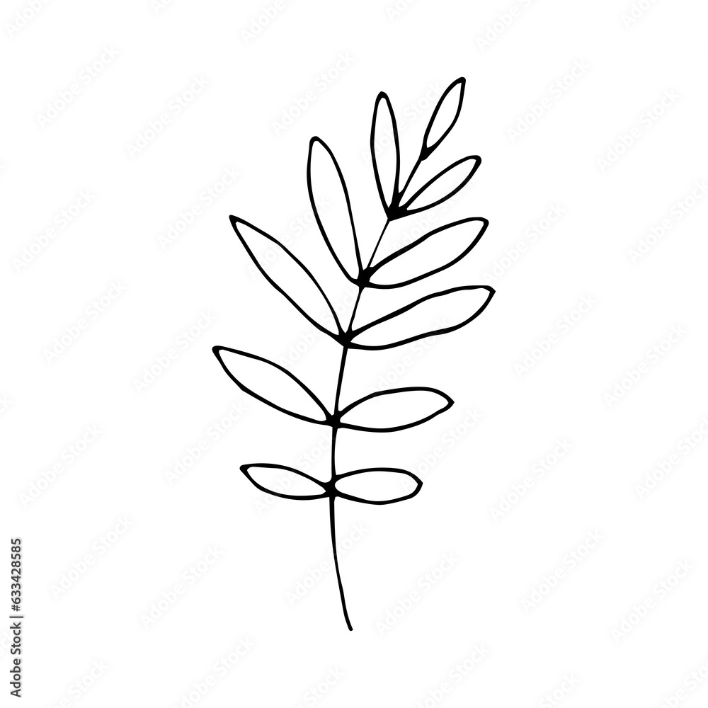 natural leaf hand drawn element natural leaf hand drawn element