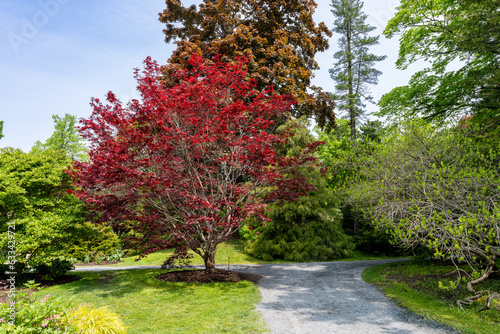 The Queen's Garden in Halifax, Canada 