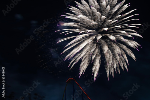 fireworks over the roller coaster track