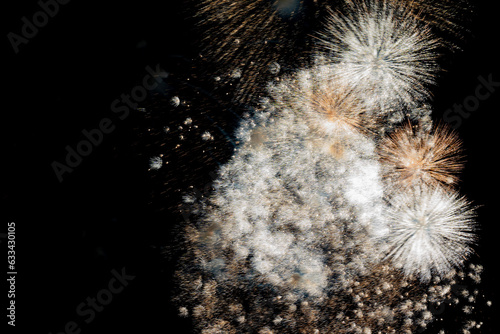 fireworks in full bloom