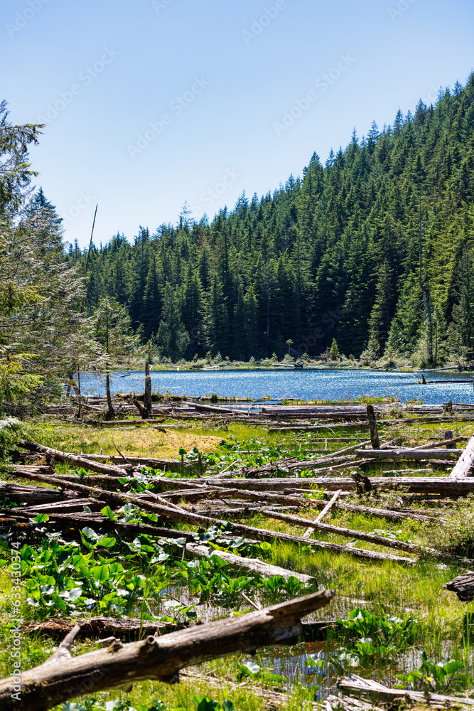 Small pond on Gambier Island