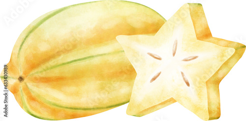 Watercolor Starfruit 