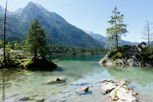 Stein mit einem Baum darauf im Hintersee bei Ramsau