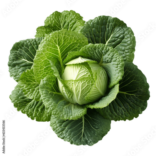 cabbage png. cabbage top view png. cabbage isolated. cabbage flat lay png. vegetable. fresh. organic. healthy food