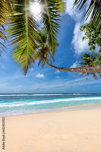 Sunny topical beach with coconut palm trees. Summer vacation and tropical beach concept.