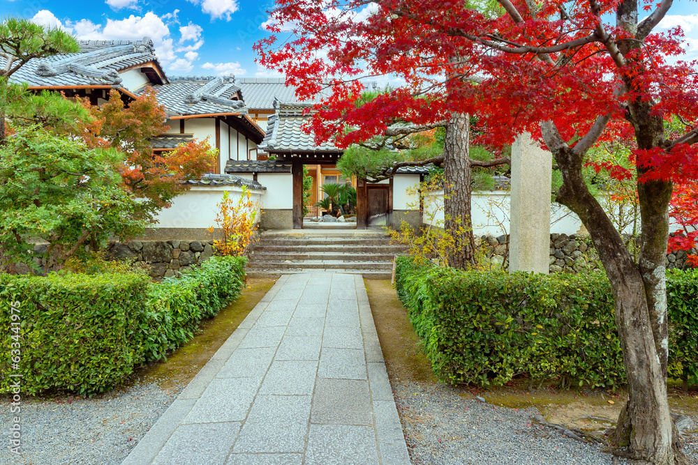 Japan autumn. Sidewalk leads to Japanese building. Japanese architecture. Red Japanese maple. Japan cityscape. Travel to east asia. Religious sights of asia. Buddhist temple complex on sunny day