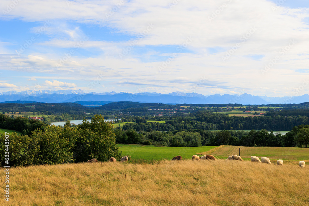 Alpine view over meadows and field paths towards the Alps near Reichling in Bavaria on a summer day with blue sky and light clouds Alpine view over meadows and field paths towards the Alps near Reichling in Bavaria on a summer day with blue sky and light clouds