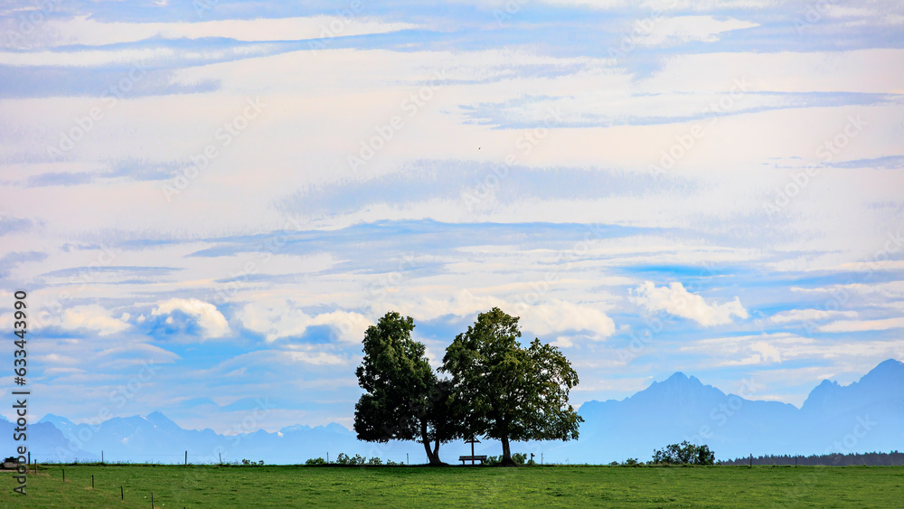 Alpine view over meadows and field paths towards the Alps near Reichling in Bavaria on a summer day with blue sky and light clouds Alpine view over meadows and field paths towards the Alps near Reichling in Bavaria on a summer day with blue sky and light clouds