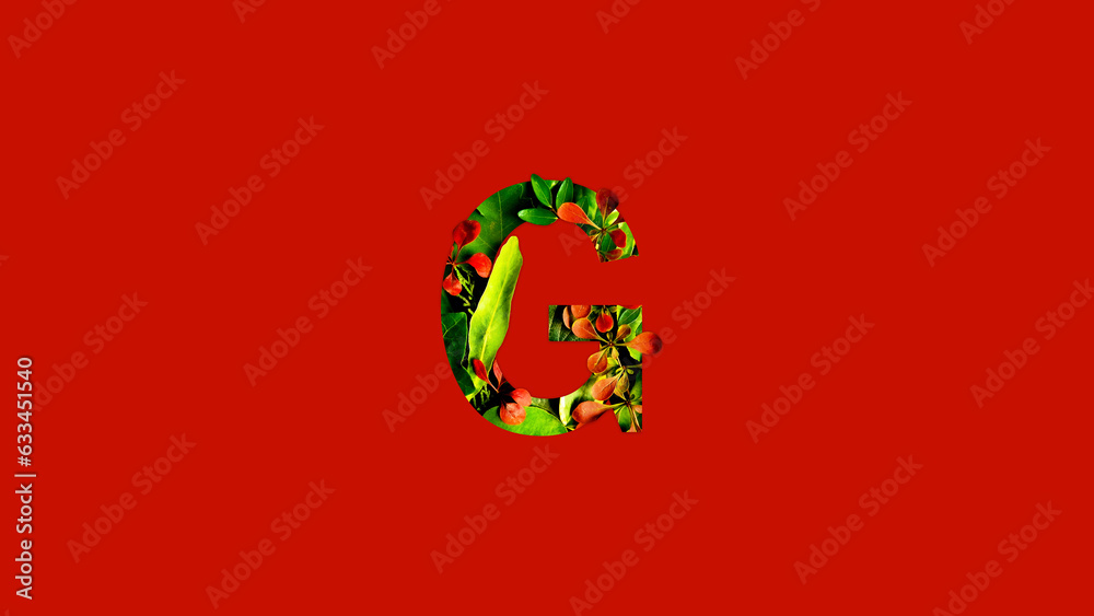 Letter G made of colorful tropical leaves. Leaf font concept. Unique collection of letters and numbers. Spring, summer and valentines creative idea. Tropical vibes. Letter G made of colorful tropical leaves. Leaf font concept. Unique collection of letters and numbers. Spring, summer and valentines creative idea. Tropical vibes.