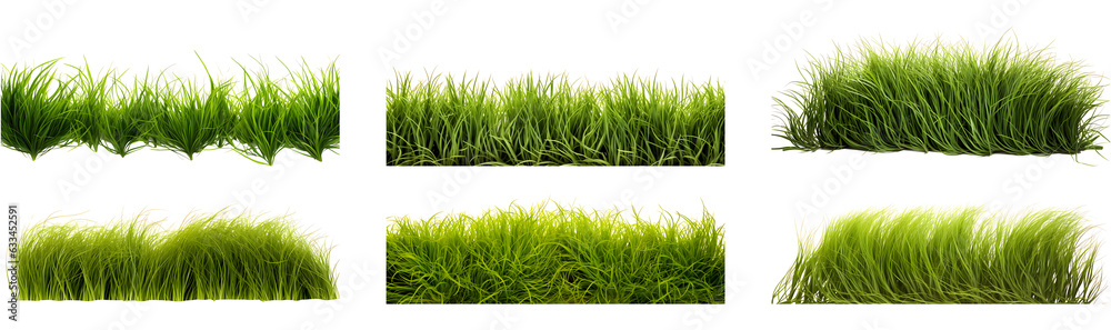 Hair grass border set on transparent background. Grass png bundle Hair grass border set on transparent background. Grass png bundle