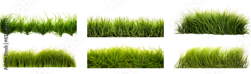 Hair grass border set on transparent background. Grass png bundle photo