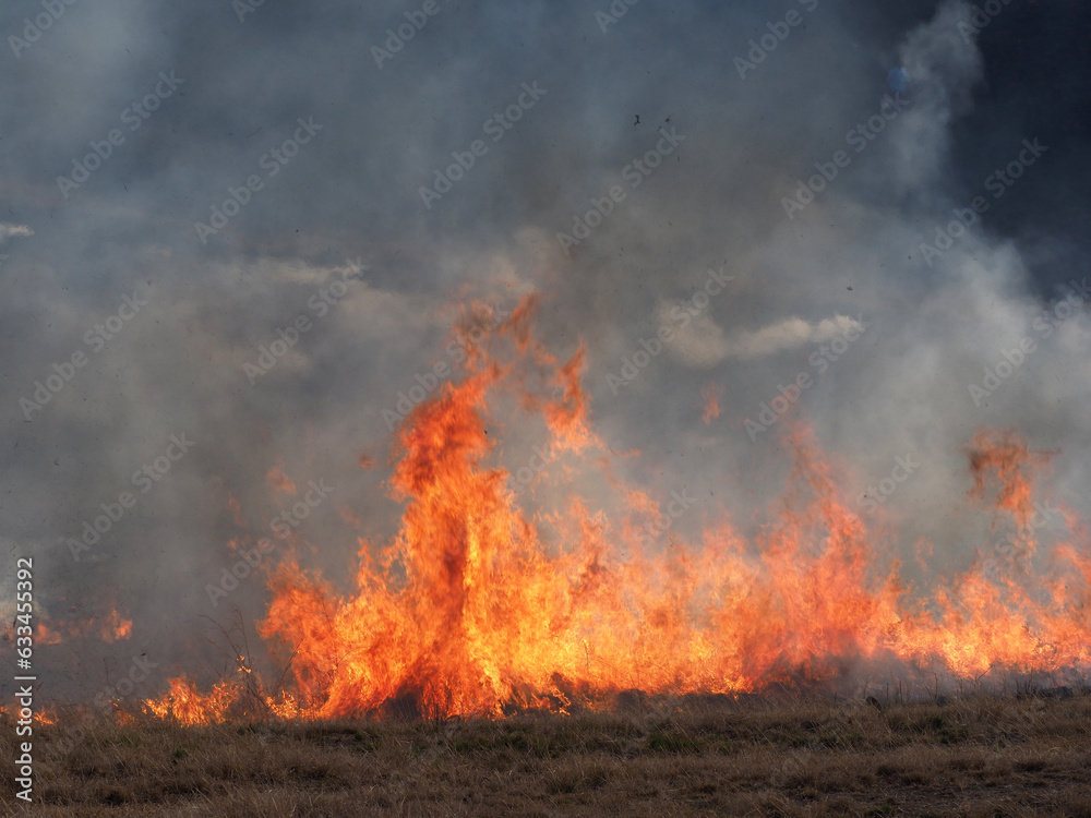 Burning fields of veld / grassland