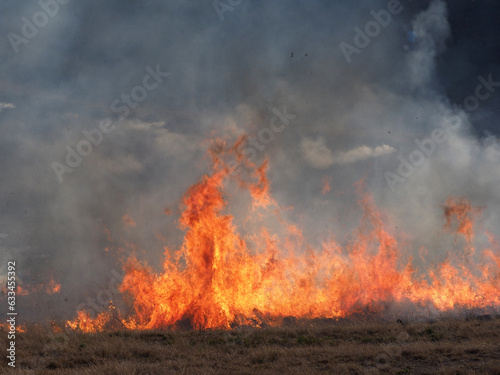 Burning fields of veld / grassland photo