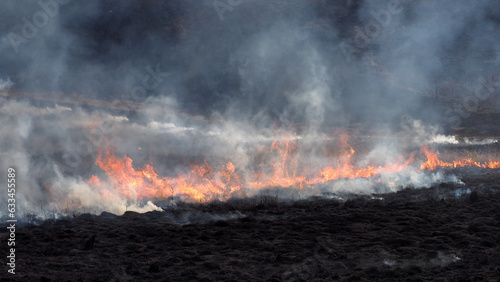 Burning fields of veld / grassland