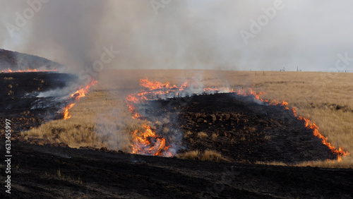 Burning fields of veld / grassland photo