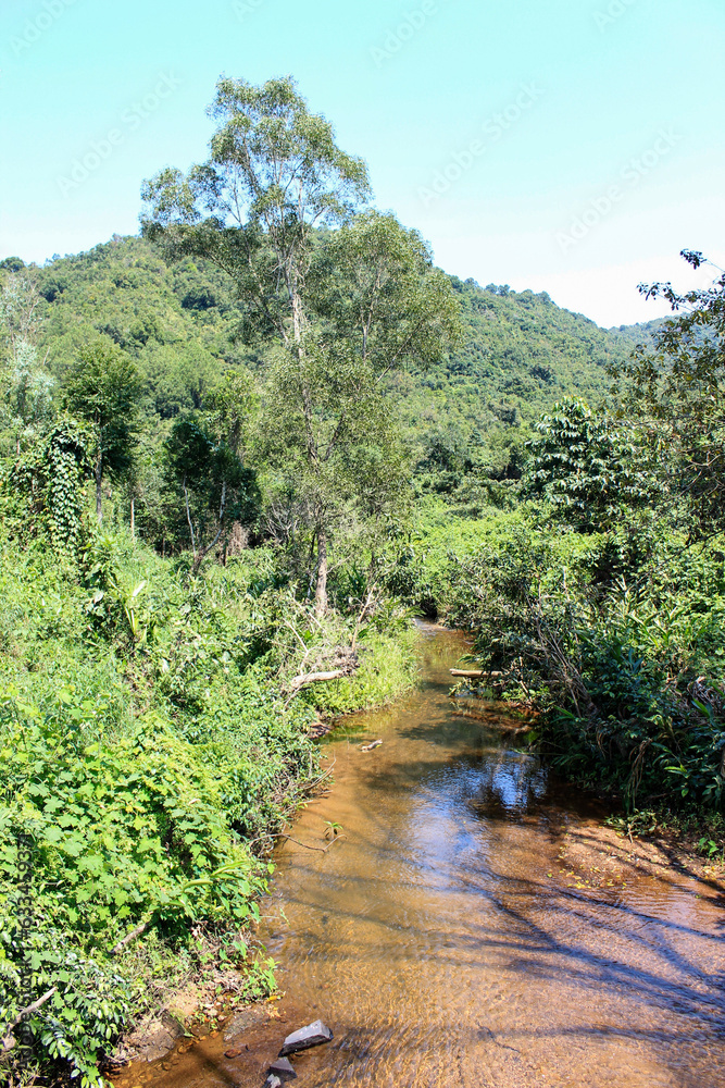 Fototapeta premium river in the mountains, Vietnam