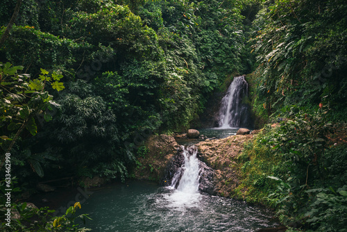 Fototapeta Naklejka Na Ścianę i Meble -  Multi-step waterfalls of the Seven Sisters Waterfalls surrounded by lush vegetation in Grand Etang National Park; Grand Etang National Park & Forest Reserve, Grenada, Caribbean