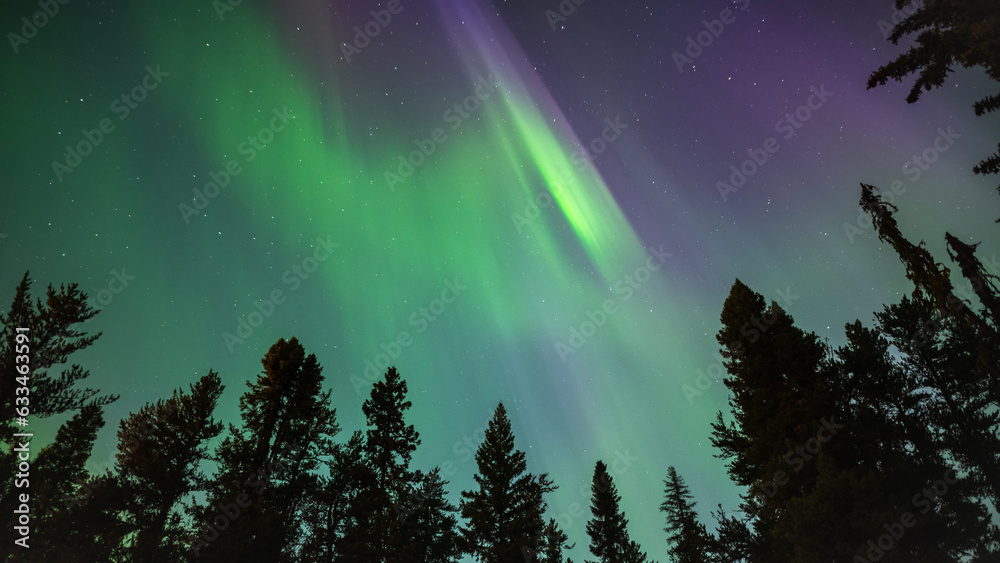 Northern lights overhead. Aurora Borealis