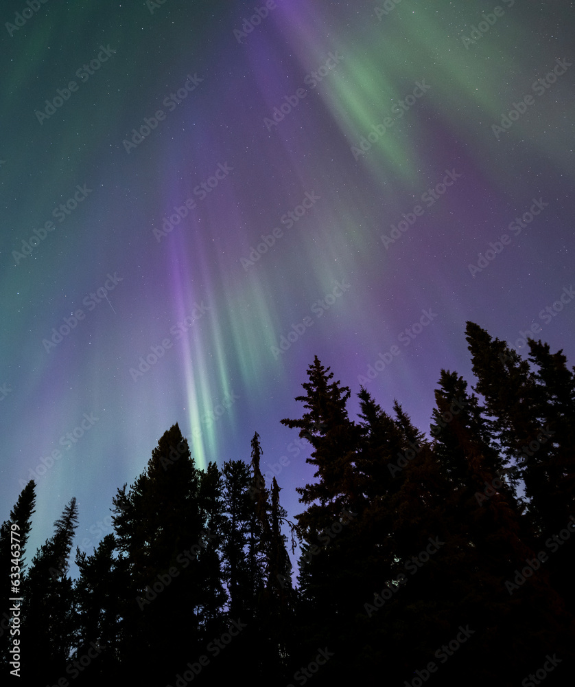 Northern lights overhead. Aurora Borealis